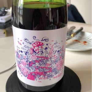 Mas del Périé - Fabien Jouves - NDD Nectar Des Dieux Pinot Noir