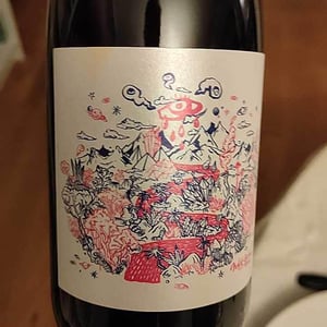 Mas del Périé - Fabien Jouves - NDD Nectar Des Dieux Pinot Noir