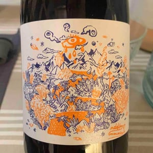 Mas del Périé - Fabien Jouves - NDD Nectar Des Dieux Pinot Noir
