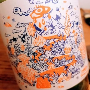 NDD Nectar Des Dieux Pinot Noir - Mas del Périé - fabien-jouves