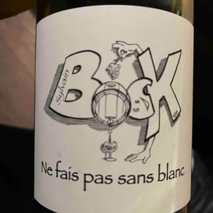 Ne fais pas sans blanc - Sylvain Bock - Sylvain Bock 
