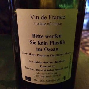 Anders Frederik Steen & Anne Bruun Blauert - Anders Frederik Steen & Anne Bruun Blauert - Ne jetez pas de plastique dans l'océan s'il vous plaît (X Jean-Marc Brignot)
