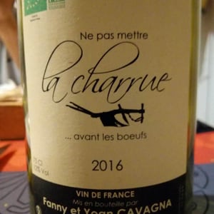 Ne Pas Mettre La Charrue Avant Les Bœufs - Cavagna - fanny-et-yoan-cavagna