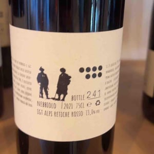 Nebbiolo - Dislivelli di Valtellina - Gian Piero Ioli 