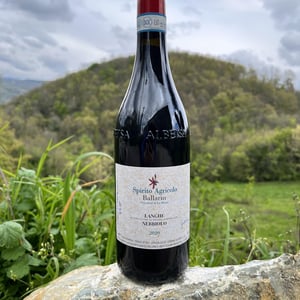 Nebbiolo - Spirito Agricolo Ballarin - gianni-cecilia-viberti -2020