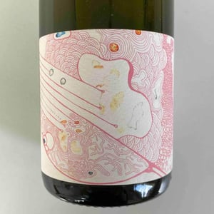 Nébuleuse Aligoté X Julien Altaber - Sextant - Vin des Potes - Basile Passe 