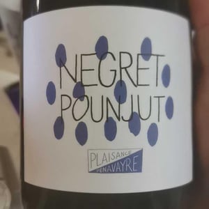 Negret Pounjut - Domaine Plaisance - Penavayre - louis-marc-et-thibaut-penavayre