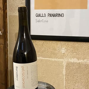Negroamaro - Vini Petracavallo - vito-donghia