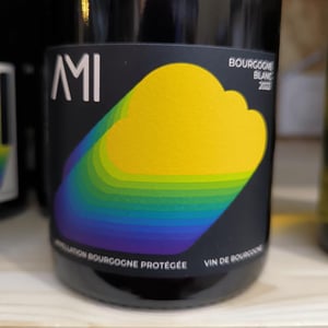 Neige de printemps - Domaine Ami - Paul Marchand-Perarnau & Willy Roulendes -2022