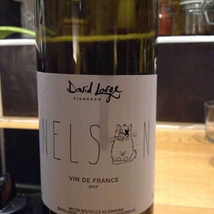 Nelson - David Large - Célia Rostand et David Large 