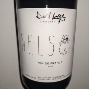 Nelson - David Large - Célia Rostand et David Large 