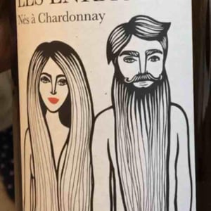 Nés A Chardonnay - Domaine Les Enracinés - gregory-barbet-et-yoan-pitoiset -2020