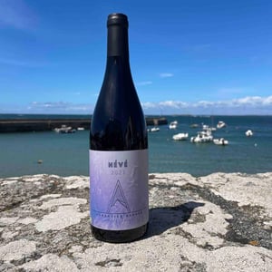 Névé - Domaine Les Alpins - sebastien-benard -2021
