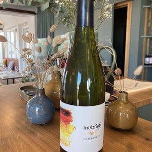 Néréi - Domaine Inebriati - victor-beau