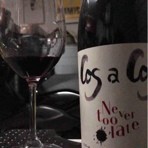 Never Too Late Rouge - Celler Cos A Cos - cristobal-vanyo-beneyto