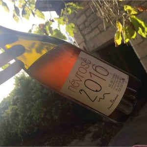 Névrosé - Domaine des Bodines - Emilie & Alexis Porteret 