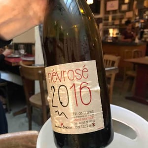 Névrosé - Domaine des Bodines - Emilie & Alexis Porteret 