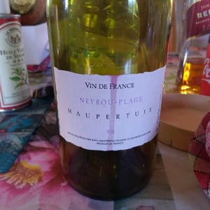 Neyrou-Plage - Jean Maupertuis - jean-maupertuis