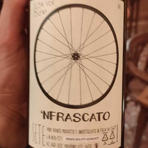 ‘Nfrascato - Sete - Vini Naturali - emiliano-giorgi-arcangelo-galuppi-martina-dalessio