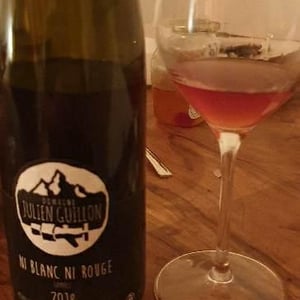 Ni Blanc Ni Rouge 2019 - Domaine Julien Guillon - Julien Guillon 