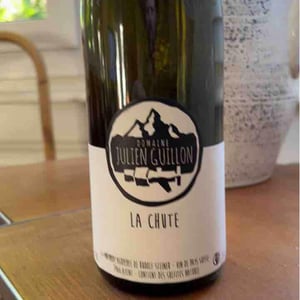 Ni Blanc Ni Rouge 2019 - Domaine Julien Guillon - Julien Guillon 