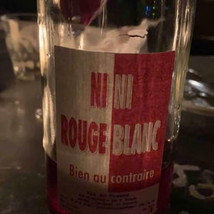 Ni Rouge Ni Blanc Bien Au Contraire - Delmée Martin - philippe-delmee-aurelien-martin