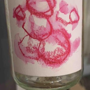 Nicolas bompas - Domaine du Bon Pas - anais-chateau-nicolas-bompas -2023