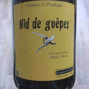 Chahut et Prodiges - Gregory Leclerc - Nid de Guêpes