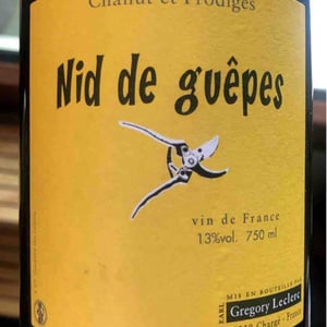 Nid de Guêpes - Chahut et Prodiges - Gregory Leclerc 