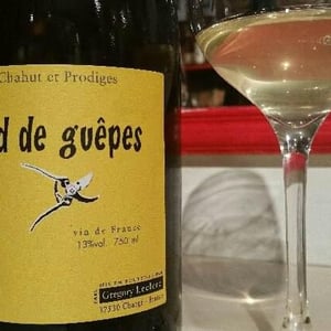 Nid de Guêpes - Chahut et Prodiges - Gregory Leclerc 