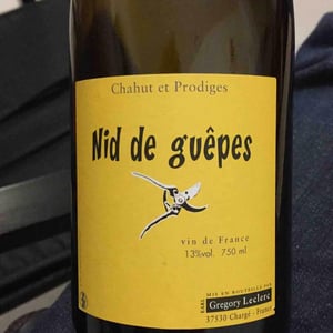 Nid de Guêpes - Chahut et Prodiges - gregory-leclerc