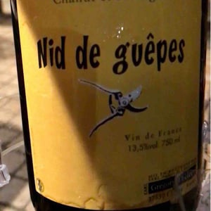 Nid de Guêpes - Chahut et Prodiges - Gregory Leclerc 