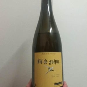Nid de Guêpes - Chahut et Prodiges - gregory-leclerc