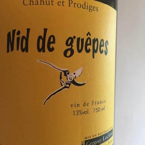Nid de Guêpes - Chahut et Prodiges - Gregory Leclerc 