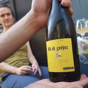 Chahut et Prodiges - Gregory Leclerc - Nid de Guêpes