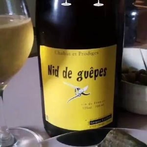 Chahut et Prodiges - Gregory Leclerc - Nid de Guêpes