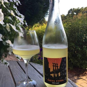 Nieva York - MicroBioWines - ismael-gozalo