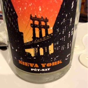 Nieva York 2019