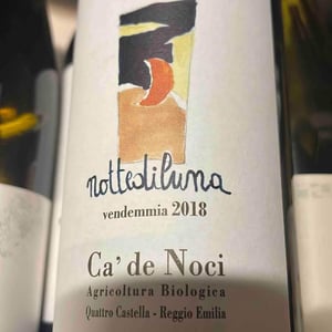 Nottediluna - Ca De Noci - alberto-giovanni-masini