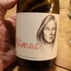 Nicolas Suteau - Nicolas Suteau - Nimue