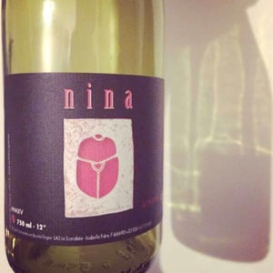 Nina - Le Scarabée - Isabelle Frère 