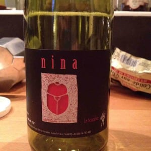 Nina - Le Scarabée - Isabelle Frère 