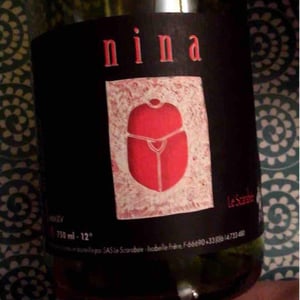 Nina - Le Scarabée - Isabelle Frère 