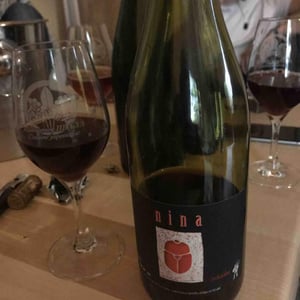 Nina - Le Scarabée - isabelle-frere