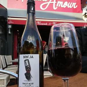 Domaine de la Tourlaudière - Romain Petiteau - Nin’ja
