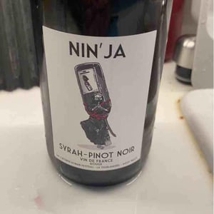 Nin’ja - Domaine de la Tourlaudière - Romain Petiteau 