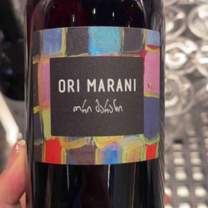 Nita - Ori Marani - bastien-warskotte-nino-gvantseladze