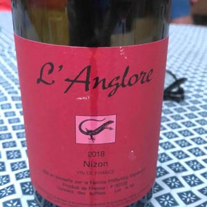 Nizon 2018