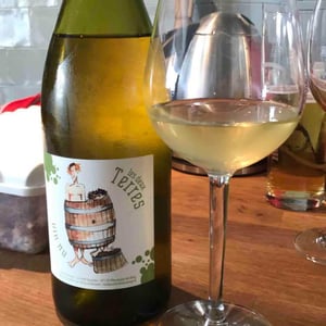 Vin Nu Blanc - Les Deux Terres - vincent-fargier-emmanuel-cunin