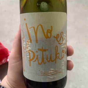 No Es Pituko Cabernet Franc - Viña Echeverría - Quasar Wines - roberto-viviana-paulina-diego-echeverria